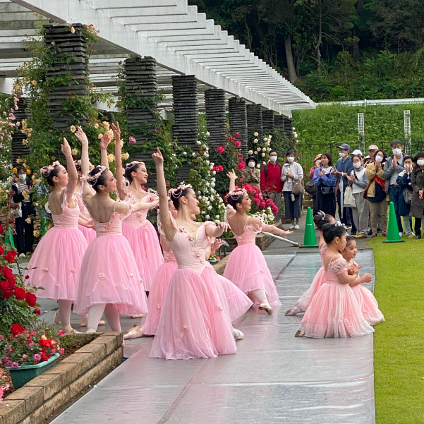 ばら苑コンサート